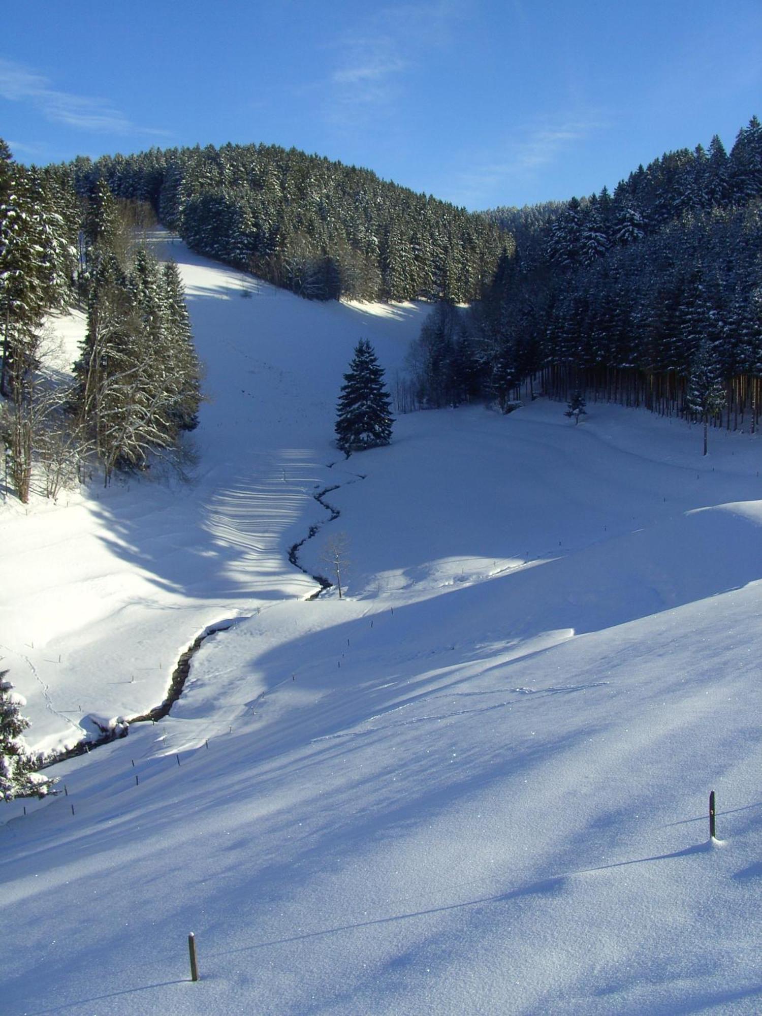 Thaelerhaeusle Hotel Furtwangen Luaran gambar