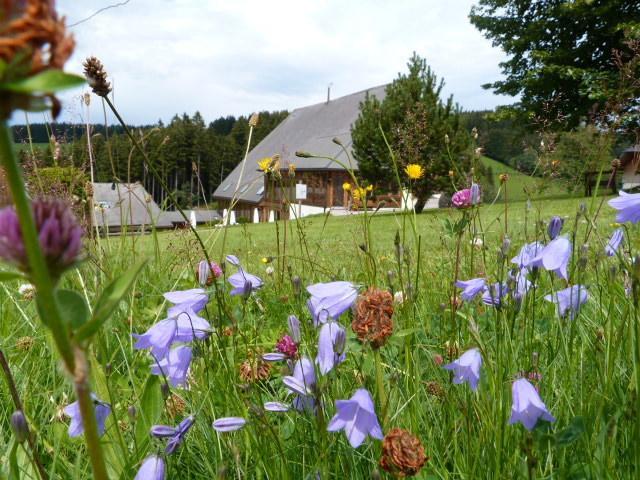 Thaelerhaeusle Hotel Furtwangen Luaran gambar